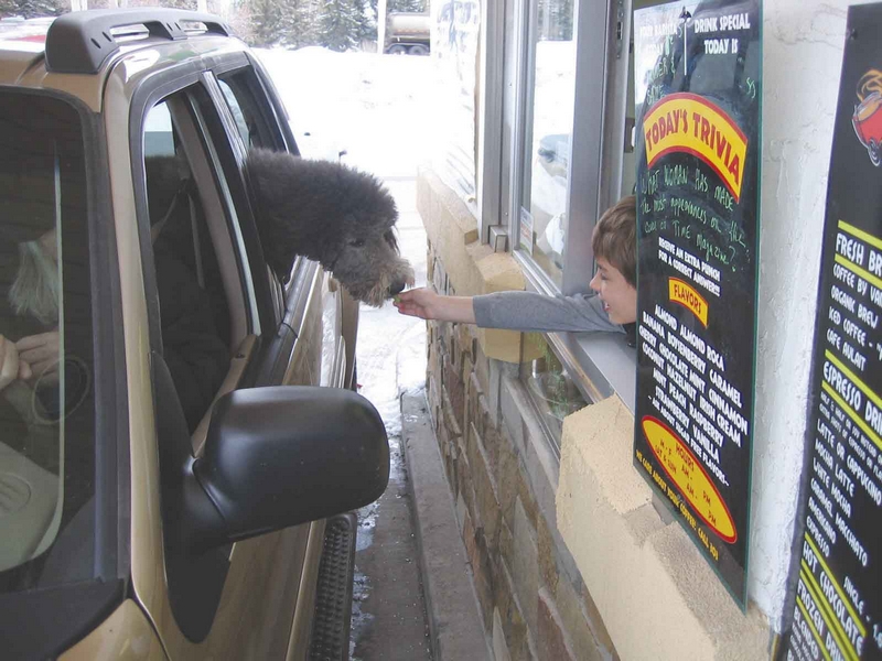 Drivethrough coffee shop now open in Vail