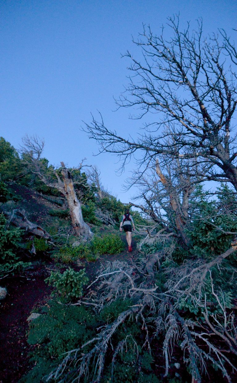 Summit Daily News managing editor Ben Trollinger picks through wind-scoured trees between Mount Royal and Mount Victoria en route to Peak One (12,805 feet), the first major climb on the Tenmile Traverse. The first stretch gains nearly 3,000 vertical feet in just 3 miles.