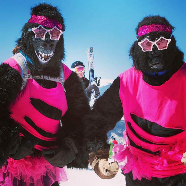 @pinkvail: On March 25, gorillas hate cancer, too! #PinkVail #VailLive