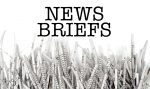 VDN-WebGraphic-NewsBriefs3