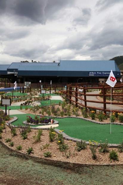Gore Creek Mini Golf features an animal theme and is a nine-hole course.