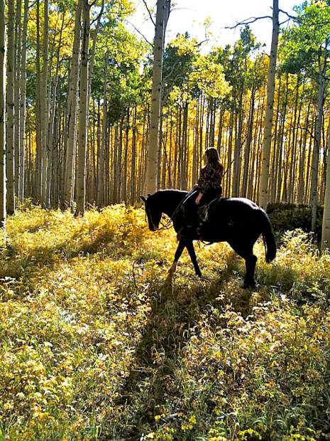 Vail Stables leads horseback rides for kids ages 8 and older through the Rocky Mountains.