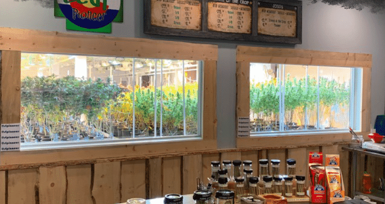 elfbar nachfüll pod läuft aus Doc's Vape Shop main image 1