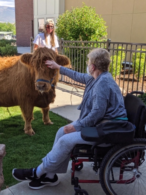 In August, Castle Peak residents enjoyed a parade of alpacas, horses, llamas, pigs, goats, sheep, cows, geese, polish chickens and more. They watched either from outside the building or from windows inside. 