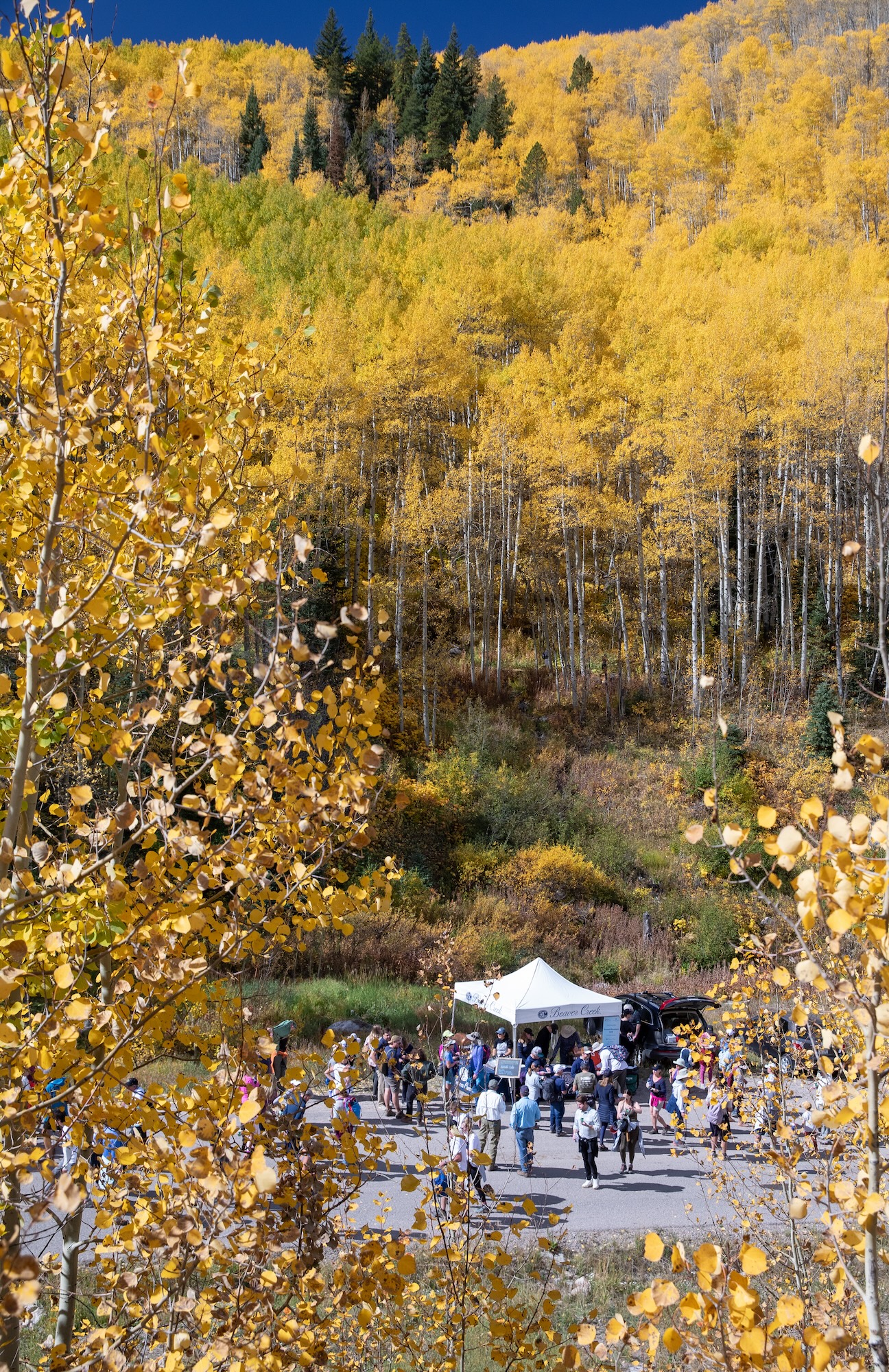 Grouse Mountain Grill Beaver Creek Colorado - zvpjn4s