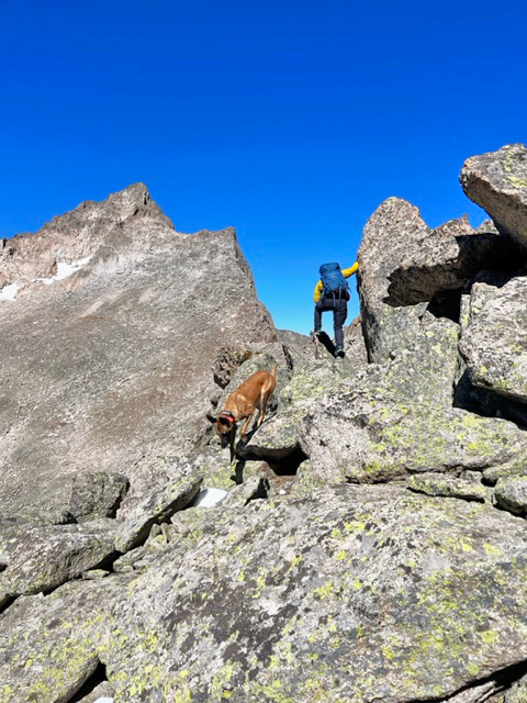 Officials suspend search efforts for missing hiker in Rocky Mountain National Park - Vimarsana News
