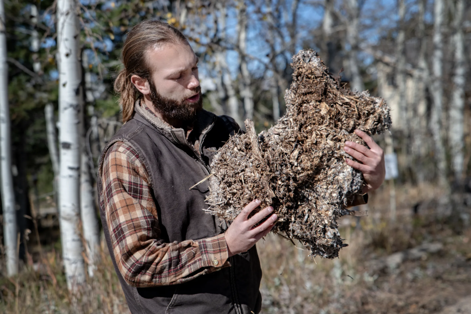 Deep Duff Colorado’s latest tool to fight forest fires: Mushrooms | VailDaily.com