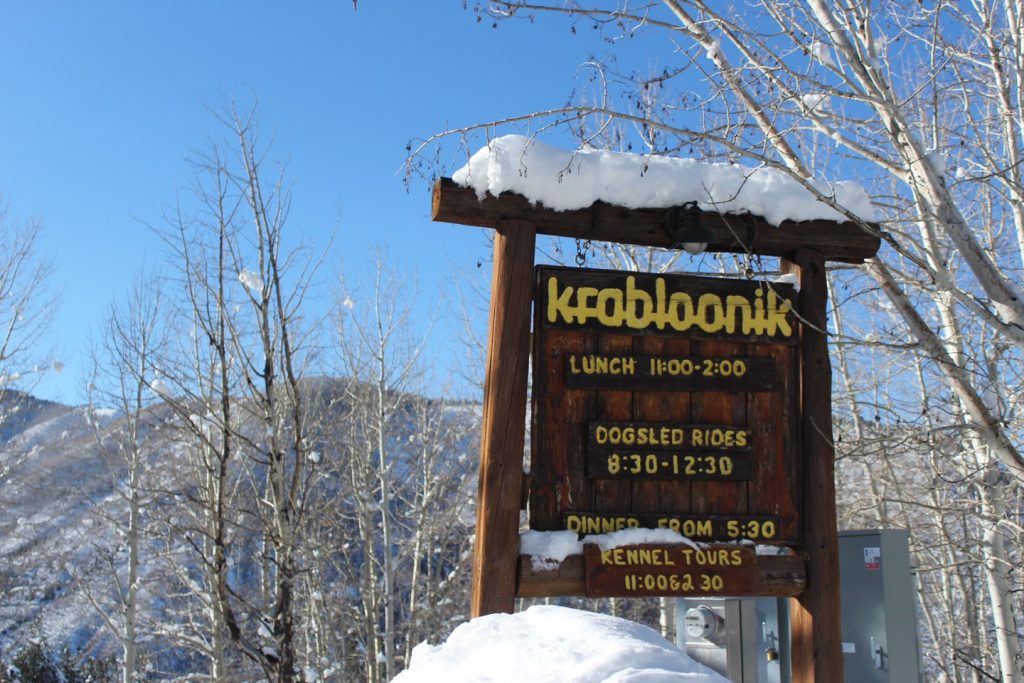 Colorado dog sledding business looking to rehome more than 100 dogs ahead of its final season - Vimarsana News