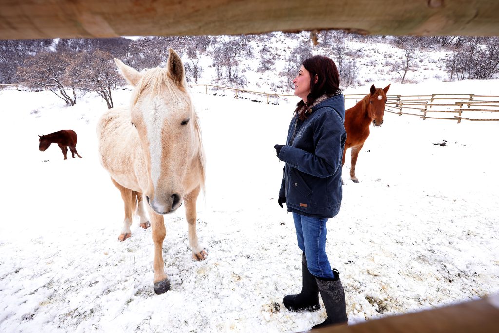 Women on a mission to give wild horses from Sand Wash Basin forever homes - Vimarsana News