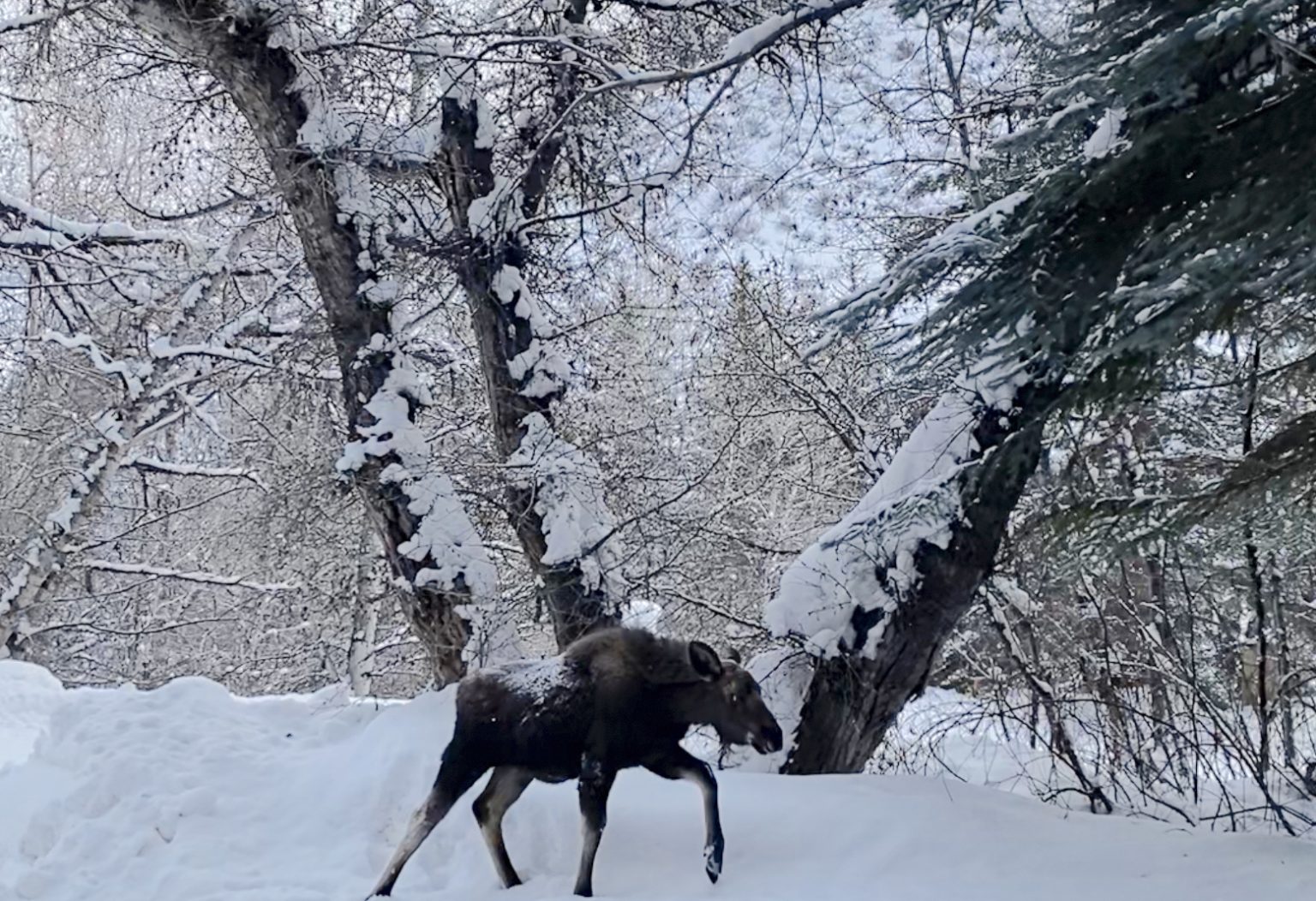 Beaver Creek homeowners challenge developer seeking to build on parcel long thought to be