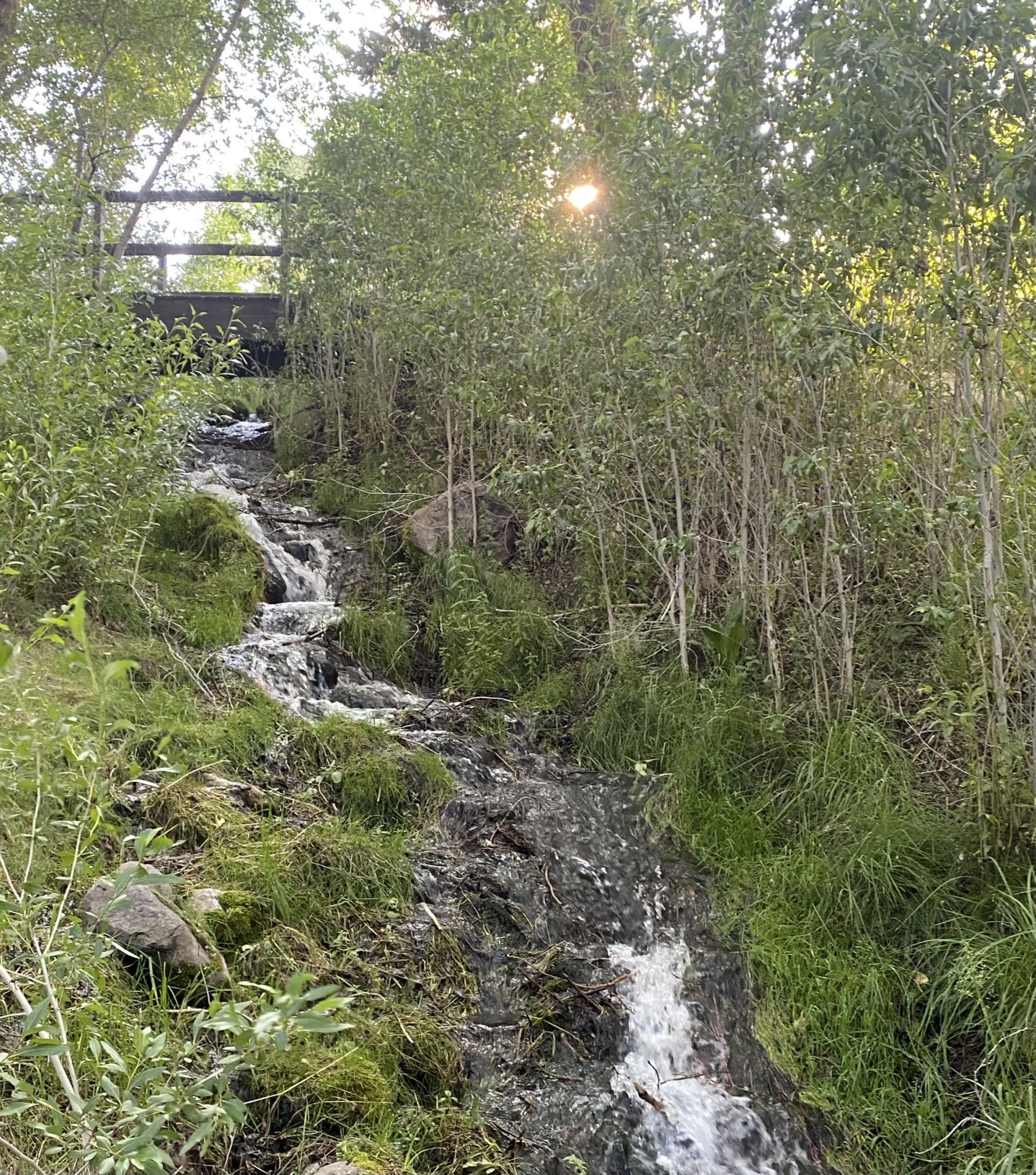 Creek or ditch? A new development being planned in Beaver Creek hinges ...