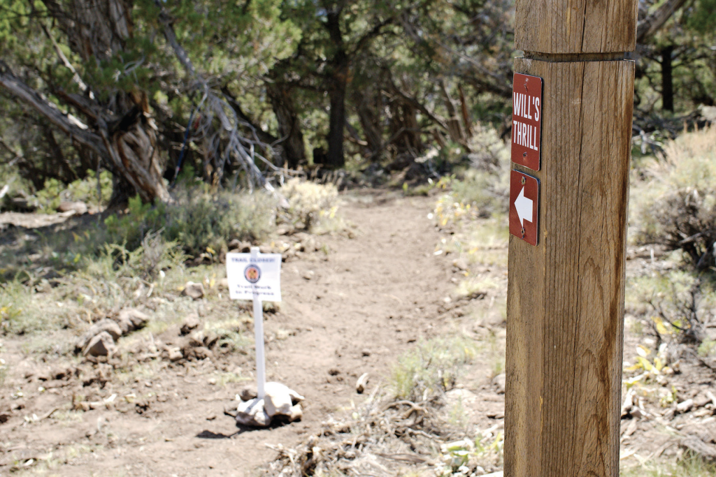 Will's Thrill / Hillbilly trail near Eagle, Colorado