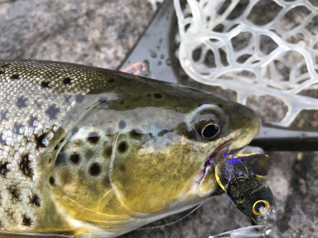 chrome shimano reel Shimano SLX DC Casting Reel