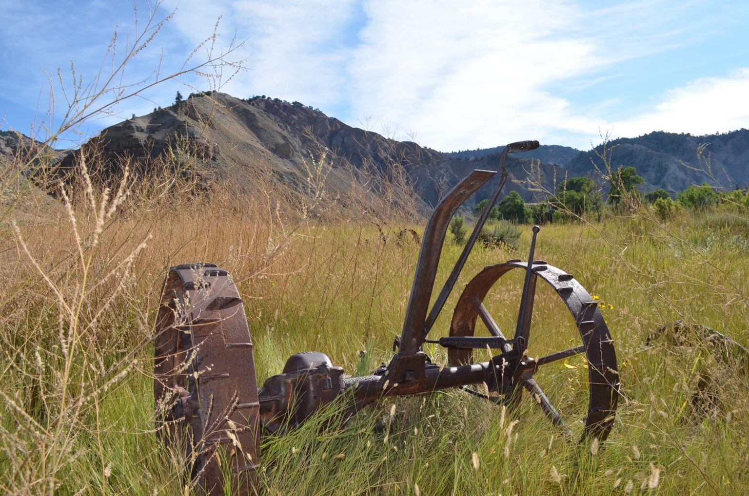 Trust Our Land Land conservation in partnership