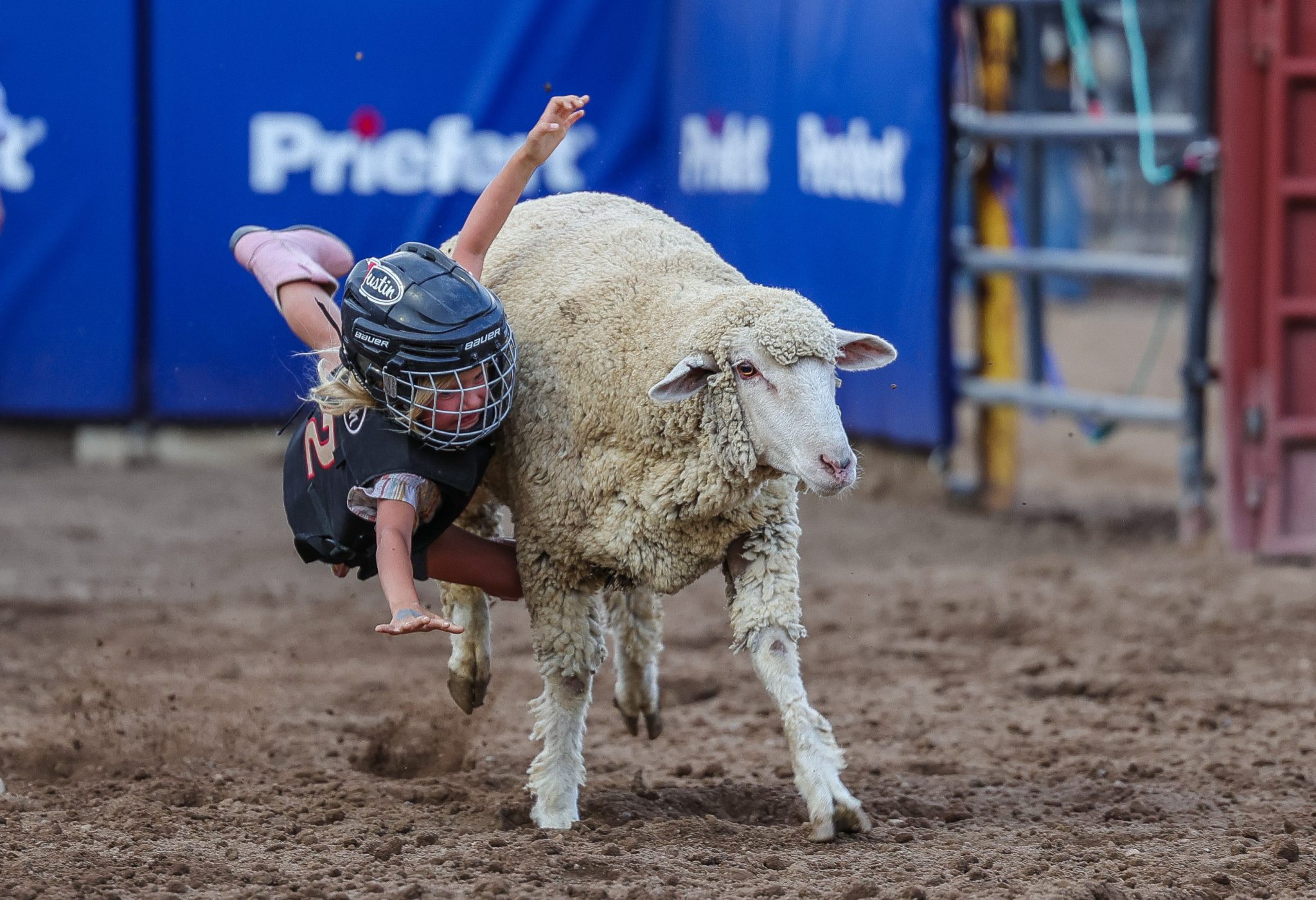 Fair Rodeo Picture PHOTOS: 2025 Eagle County Fair and Rodeo kicks off with pageantry ...