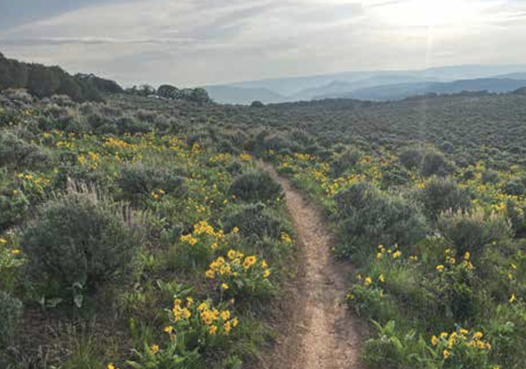 Eagle's Boneyard / Pool & Ice Rink trail near Eagle, Colorado