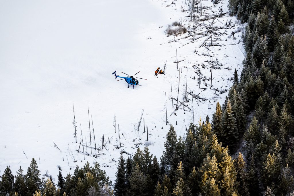 Gov. Polis shrinks funding for Colorado’s wolf reintroduction to address state budget crisis