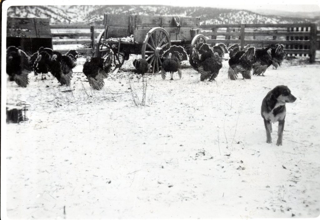 Here’s how miners celebrated Thanksgiving a century ago in Colorado’s mountains