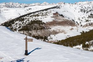 Vail's Blue Sky Basin.