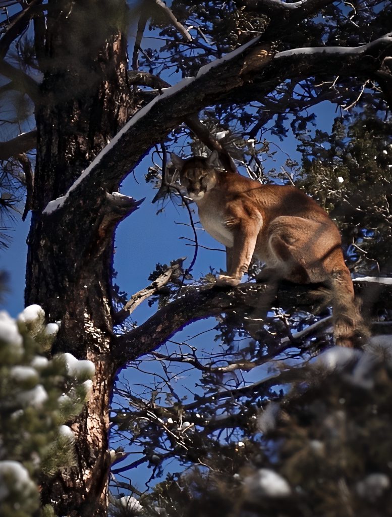 World-class adventurer-turned-filmmaker screens new documentary at Riverwalk Theater in Edwards