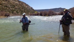 Salomone: Spring break fly rodding