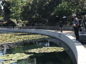 Salomone: Urban angling opportunities