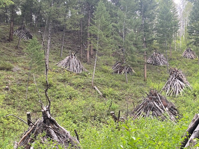 They couldn't be burned during weak winter, but fire officials say slash piles still make us safer