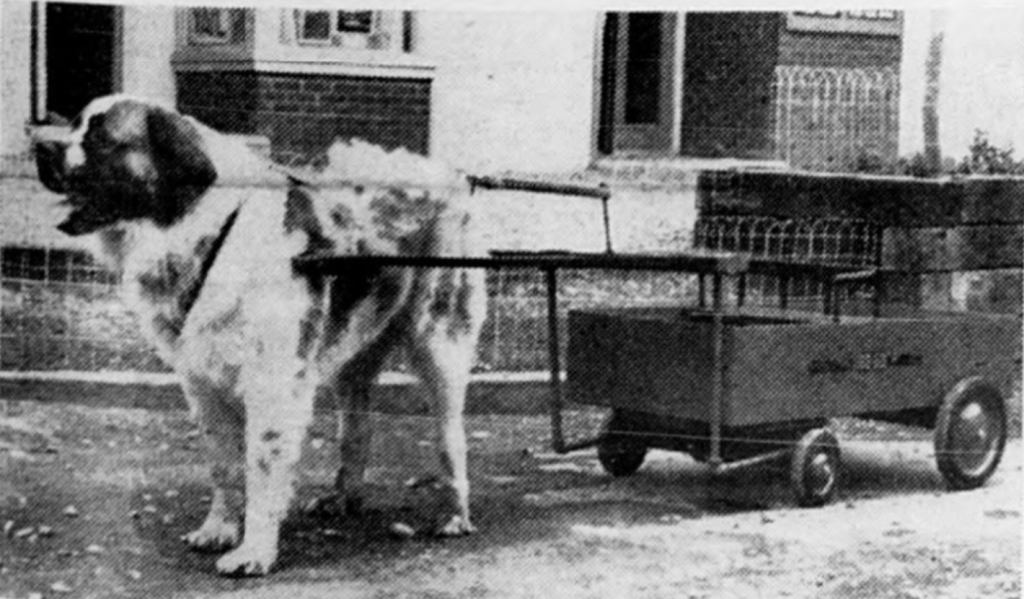 Time Machine: 60 years ago, Vail-area prepares to open its first golf course