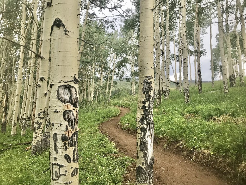 Meadow Mountain, Whiskey Creek, Everkrisp Loop trail near Minturn, Colorado