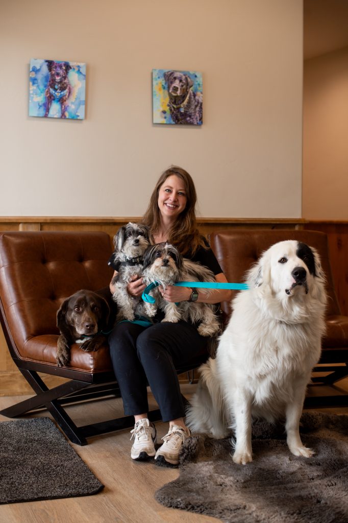 Animal Hour: A Healthy Weight Can Add Years to Your Pet's Life