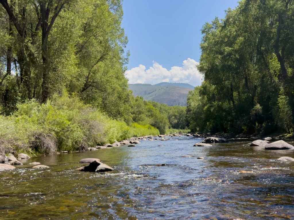 Business news: New home for Mountain Tots, a new luxury real estate firm and a donation for river conservation