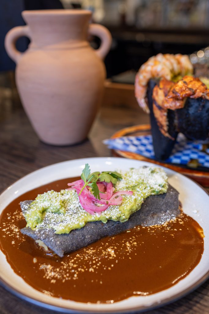 Del Toro Burrito: blue flour tortilla filled with black beans, rice, guacamole, cotija cheese, pickled onions and choice of protein over mole and habanero salsa.