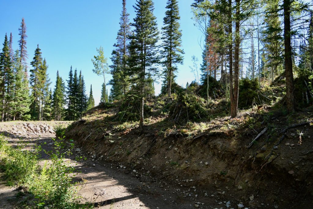 Chase Woodruff/Colorado Newsline