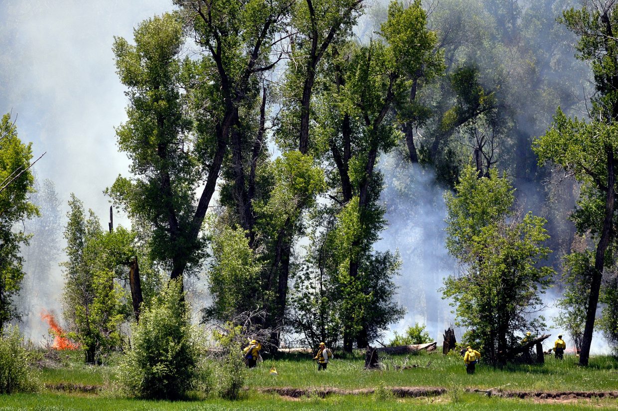 Carpenter Ranch wildfire stays at 5 acres while firefighters pause ...