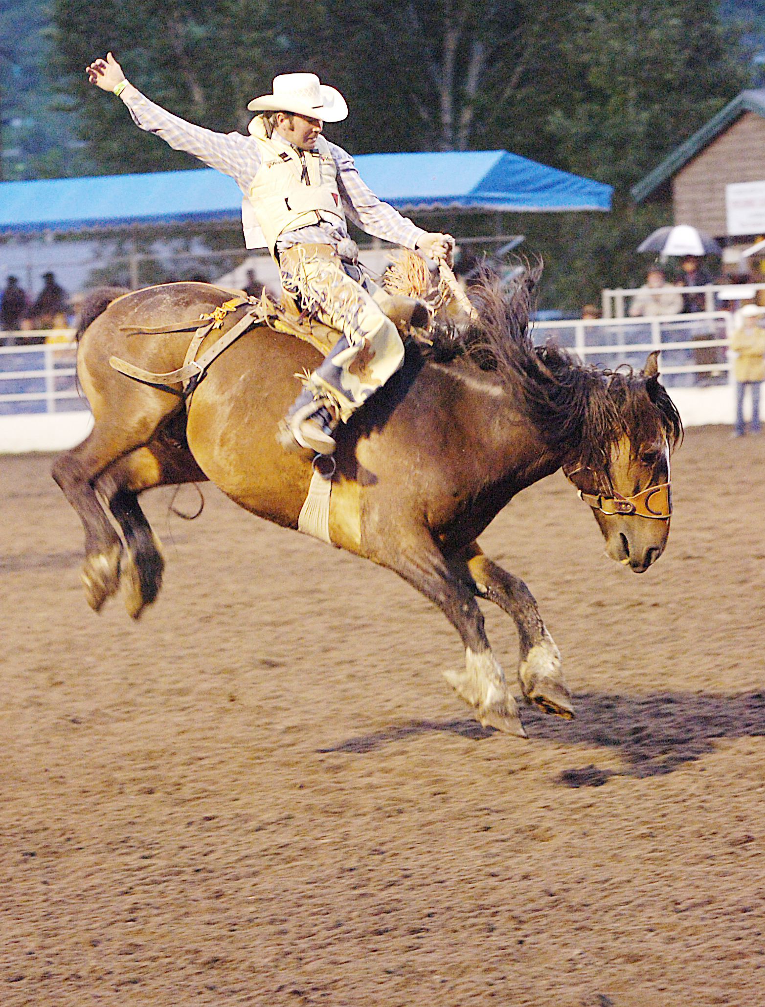 Weekly Rodeo Yippee Kayay!: Weekly rodeo fun for the whole family | SteamboatToday.com
