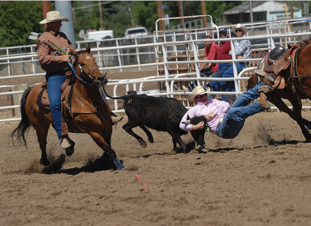Cowboy vs. steer: Rodeo cowboys consider steer wrestling 1 of the ...