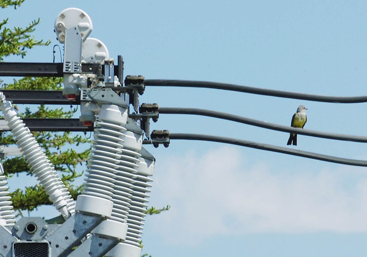 The heavy spring snowfall on April 15 disrupted power from Baggs, Wyoming to Craig in Moffat County to Steamboat Springs and south to the towns of Yampa and Bond on the edge of Yampa Valley Electric Association's service area.