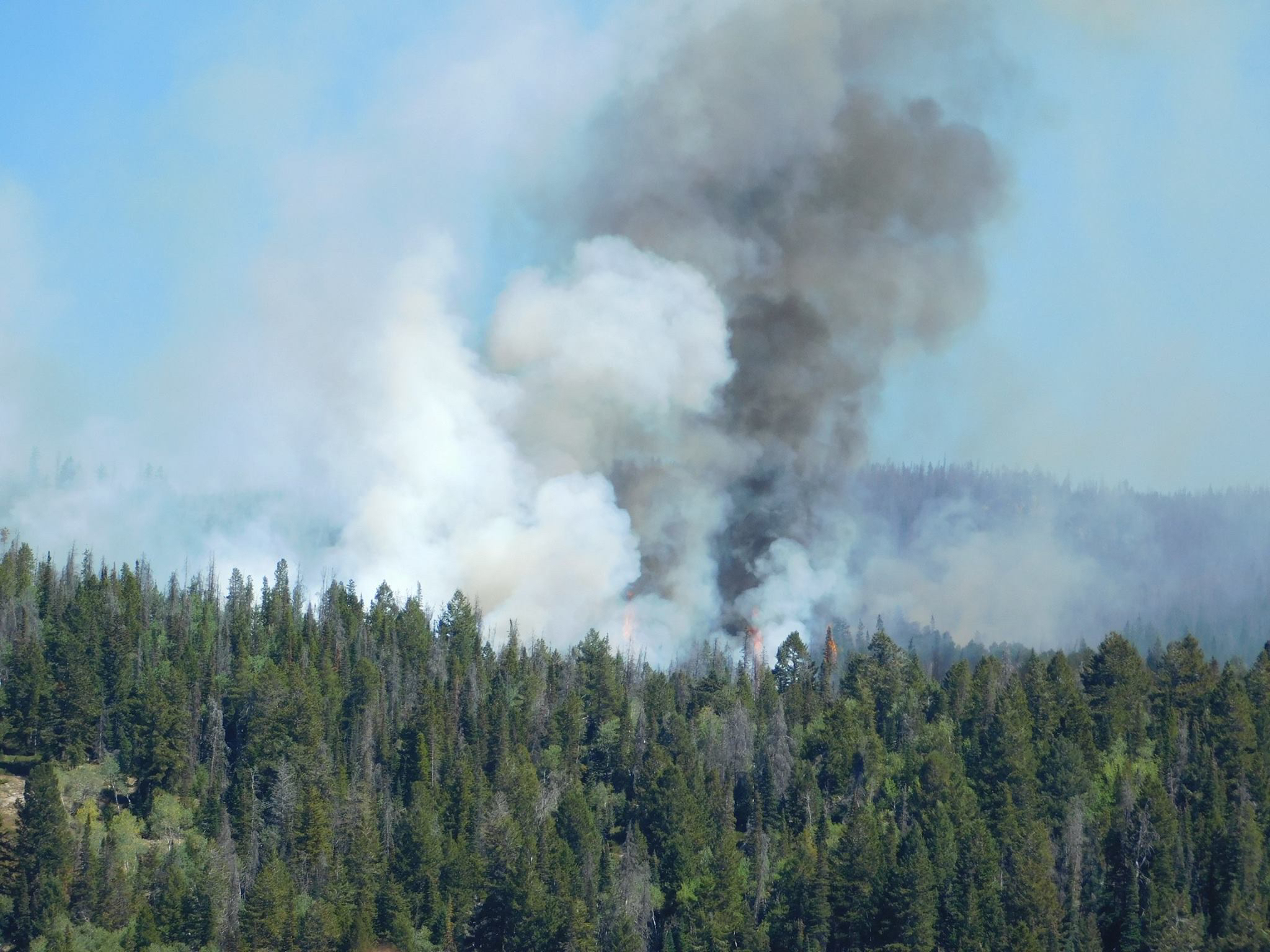 Still no campfires allowed in Routt County