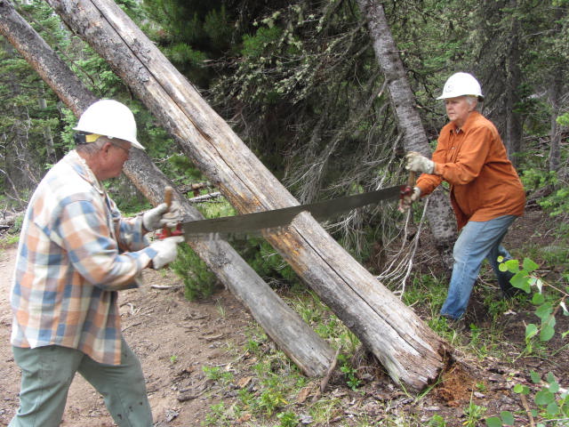 Friends of Wilderness volunteers Robert and Denise Scifres utilize a crosscut saw rather than a chainsaw while clearing fallen trees from trails in keeping with the prohibition of motorized equipment in designated wilderness areas. 
