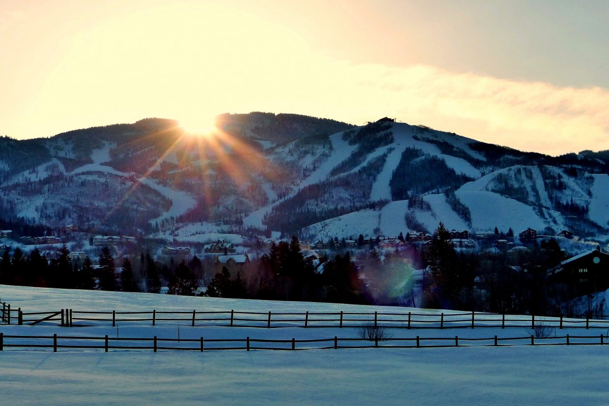 Submitted by Shannon Lukens.