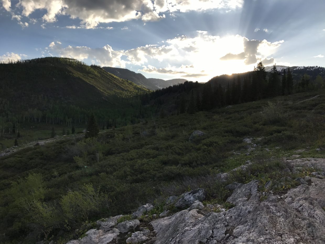 Medicine BowRoutt National Forests offers forest product permits