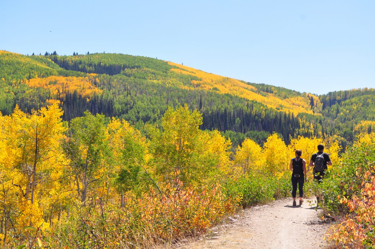 Spring Rabbit Trail Mad Rabbit project still contentious, but Routt Recreation Roundtable ...