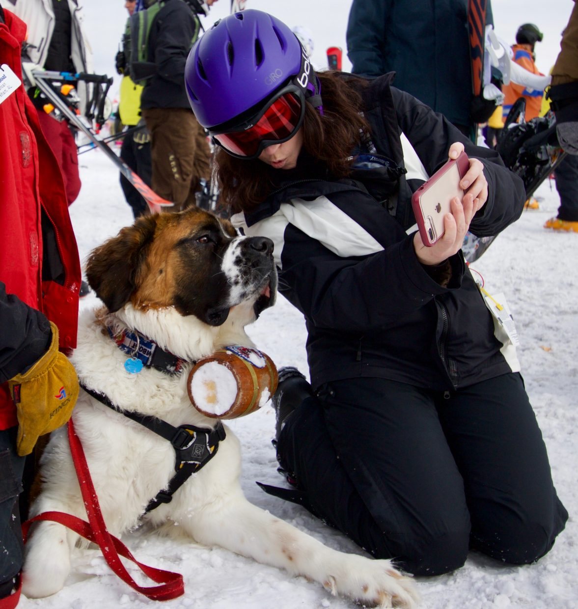 When the Saint comes barking in: meet Powder, Steamboat's safety