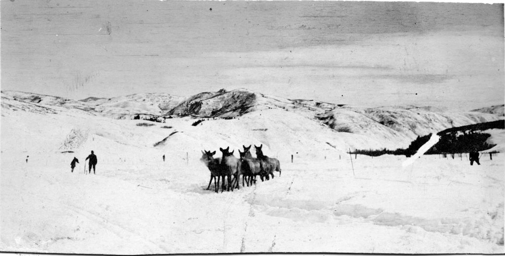 From the Pilot archives 1914 Steamboat Springs