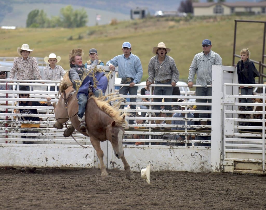 Mini Rodeo Bronc Muddy mutton bustin’, mini bronc riding and hog catching close out fair ...