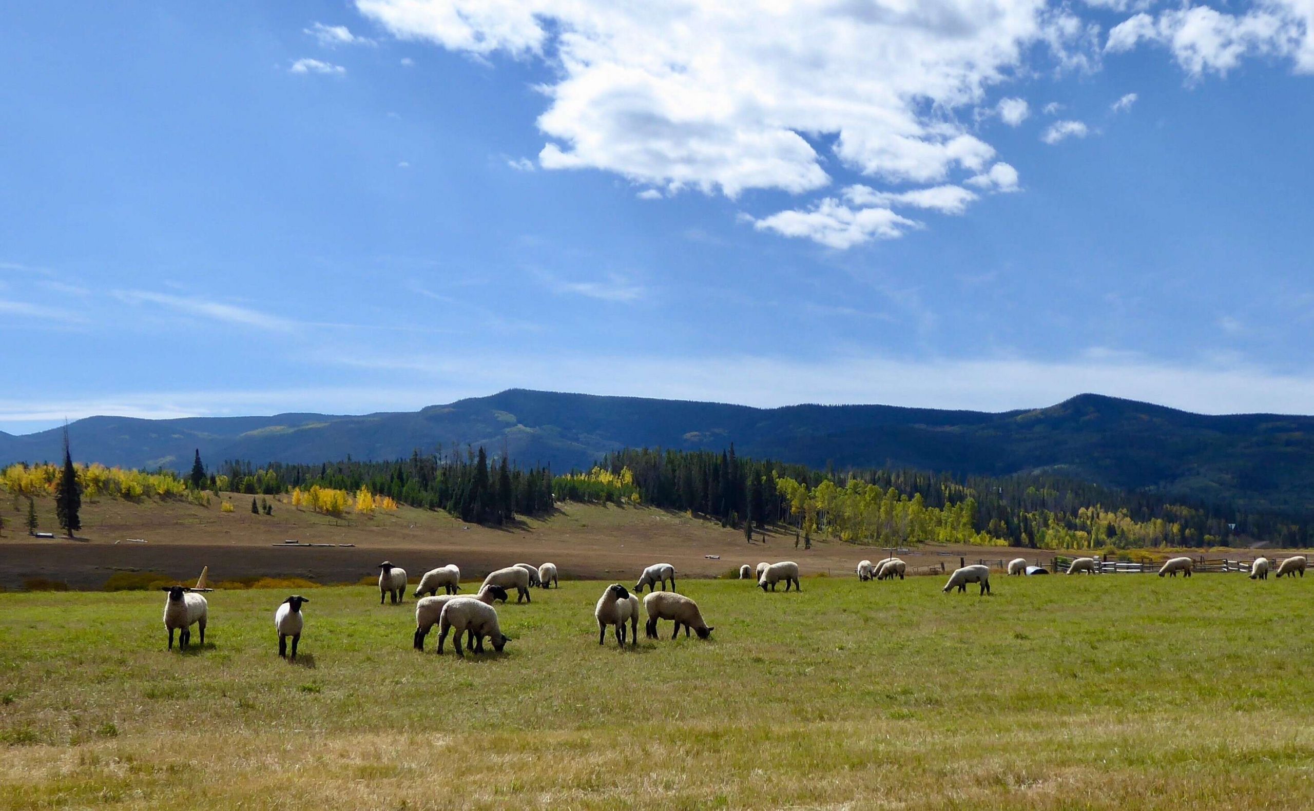 Storied South Routt ranch enters conservation agreement ...