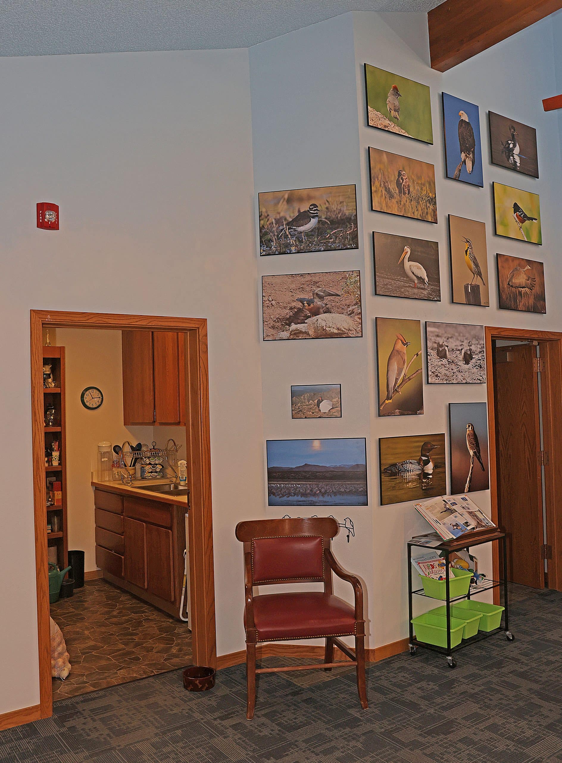 Hayden Library hopes to inspire imagination with its new children’s