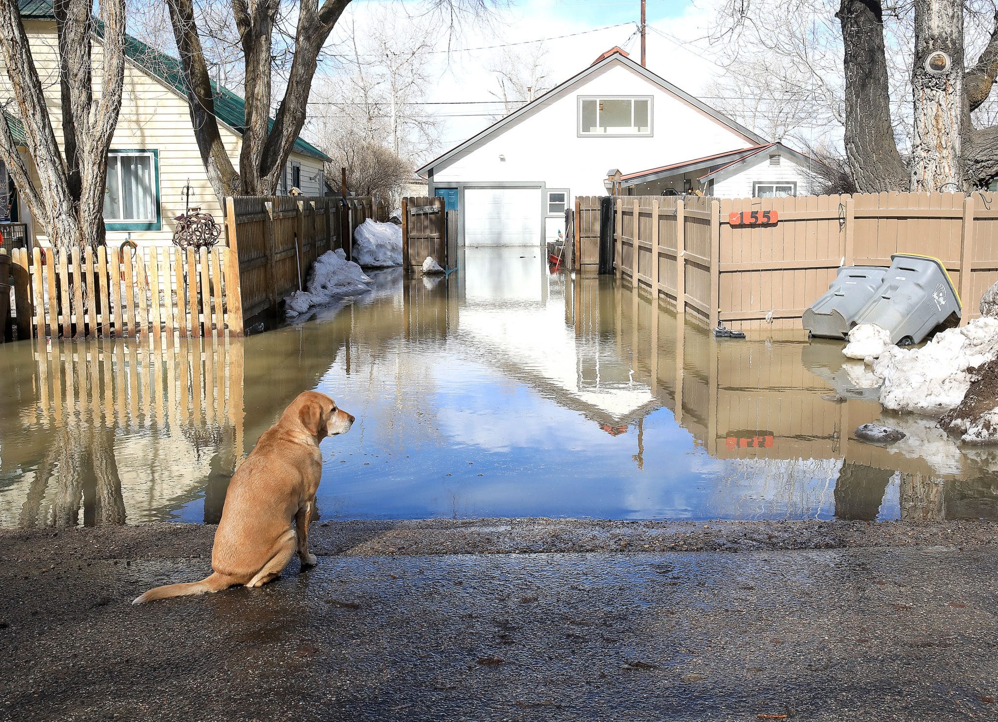 Photos Top images reflect life in Northwest Colorado during 2023