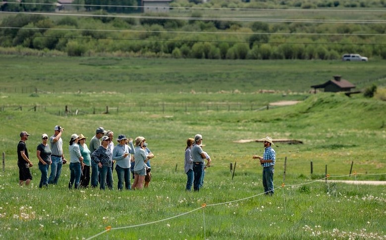 Horizontal Image Ranch Tour Nonprofit hosts ranch tours in July, August | SteamboatToday.com