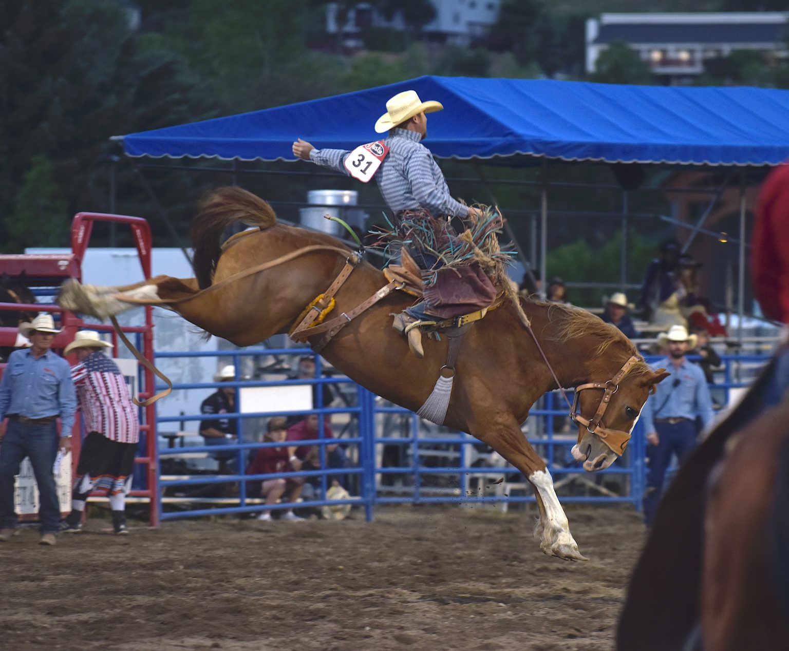 Photos Steamboat Springs Pro Rodeo brings the bucks